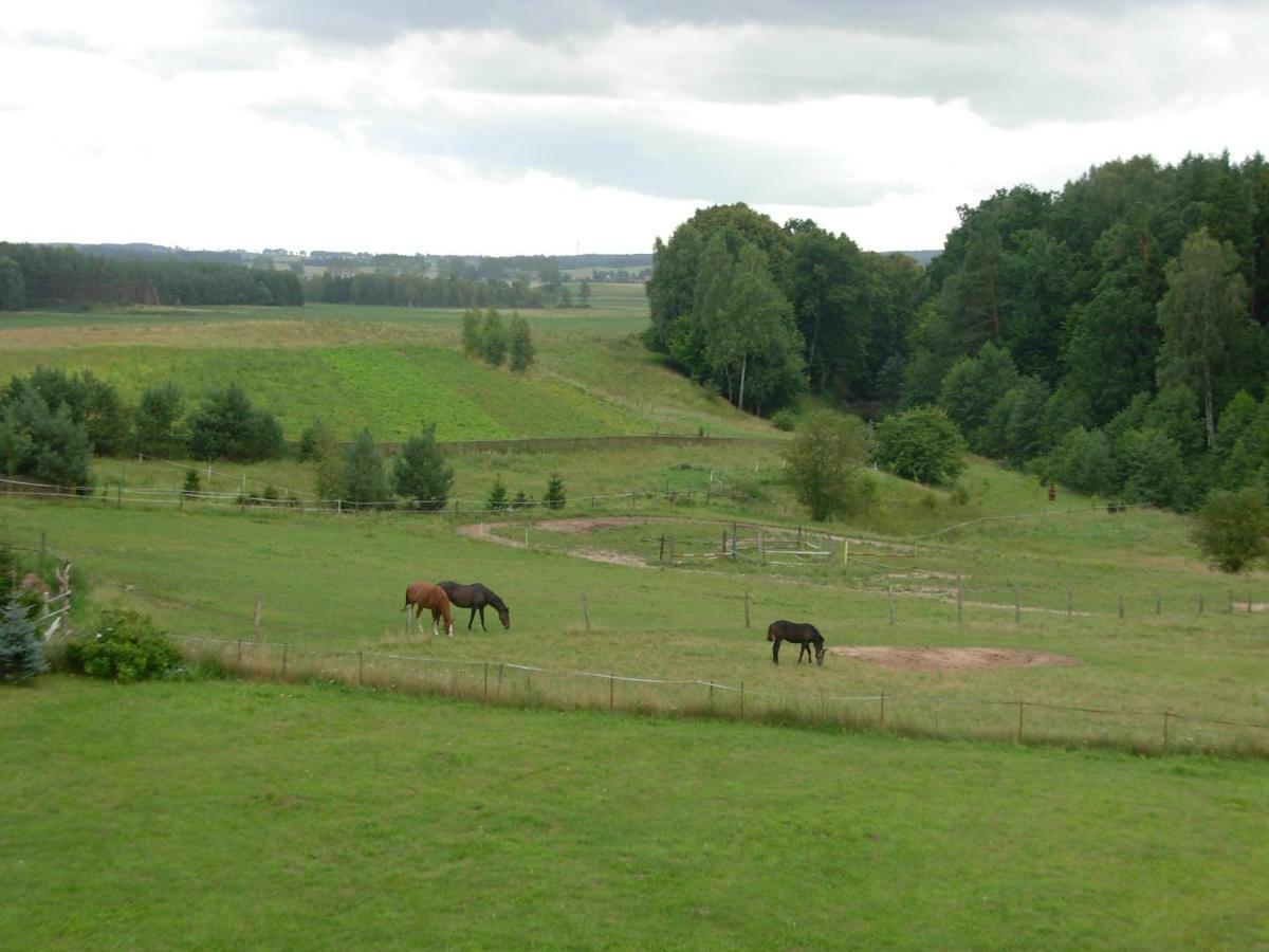 Agroturystyka Owczarnia Ketrzyn Exterior photo